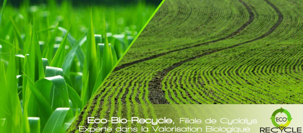 Eco-bio-recycle solution co-durable  etreville en normandie